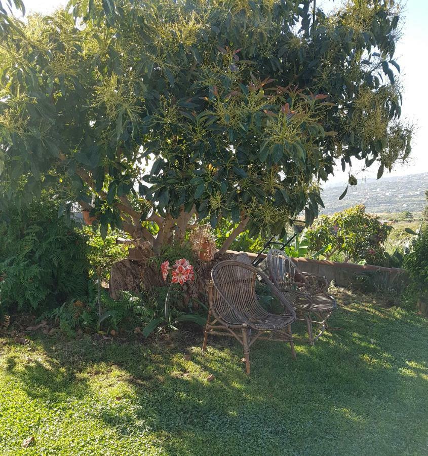 La Sabana ξενώνας Buenavista de Abajo Εξωτερικό φωτογραφία